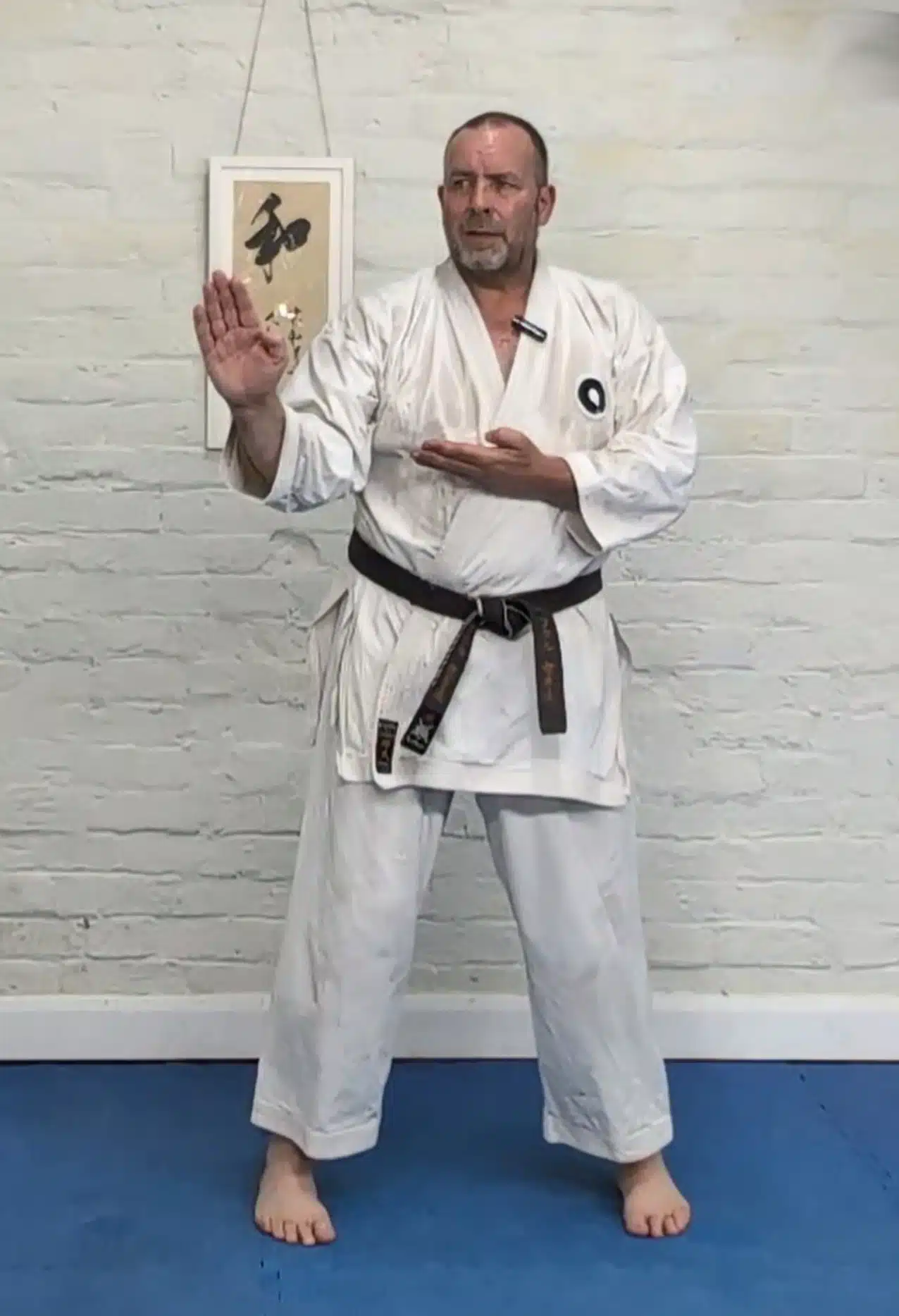 shuto uke shuto uke knife hand block