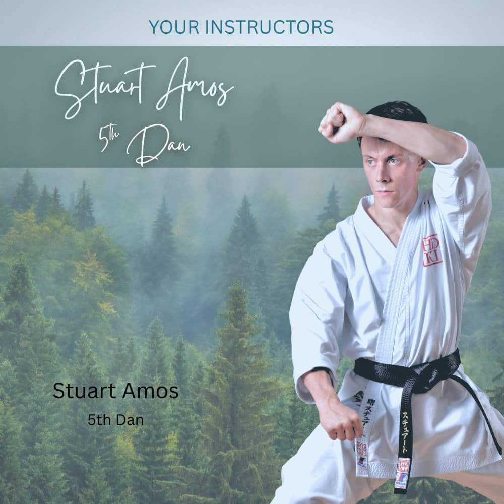 This one - 10 stuart amos karate