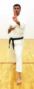 shotokan stances dachi