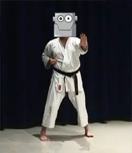 learning karate
