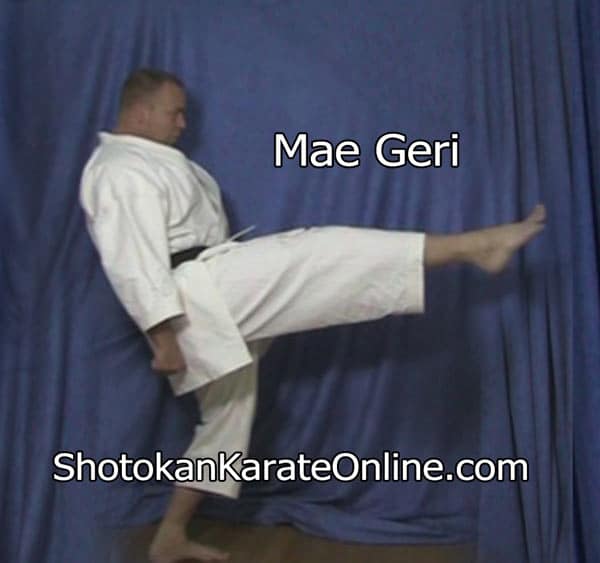 Mae Geri front Kick From Heisoku Dachi natural Stance Zanshin 