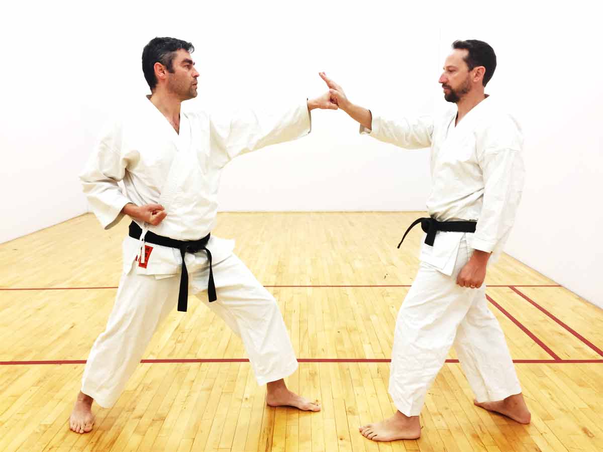 General Concepts Of Karate Stances Part 1 Shotokan Karate Online