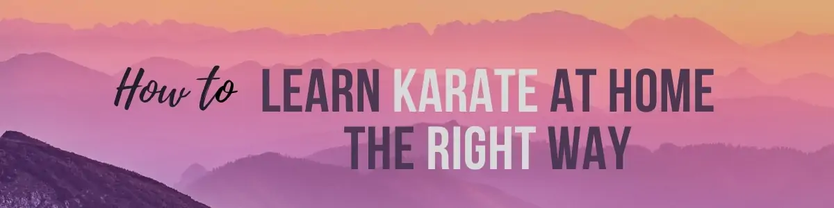 learn karate online