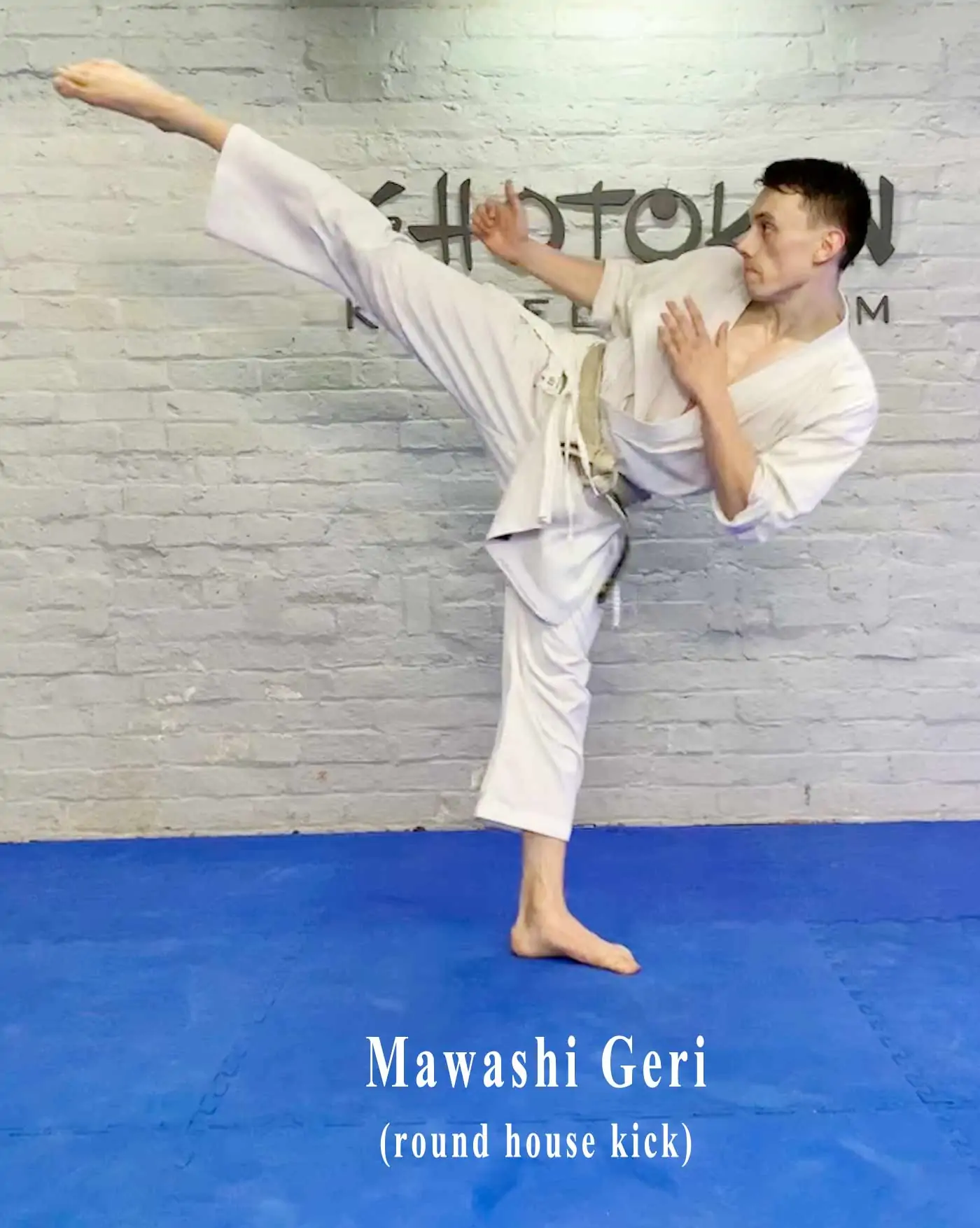mawashi geri