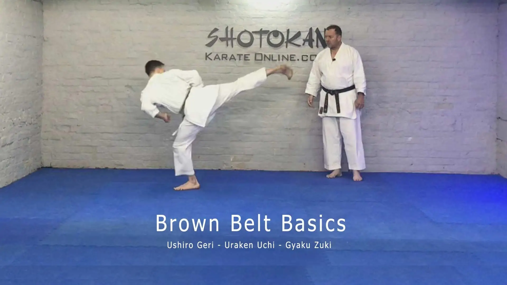 ushiro geri