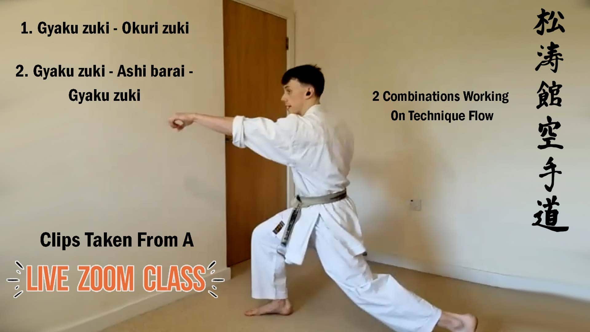 Shotokan Karate Lessons Online Technique Flow 2 Combinations