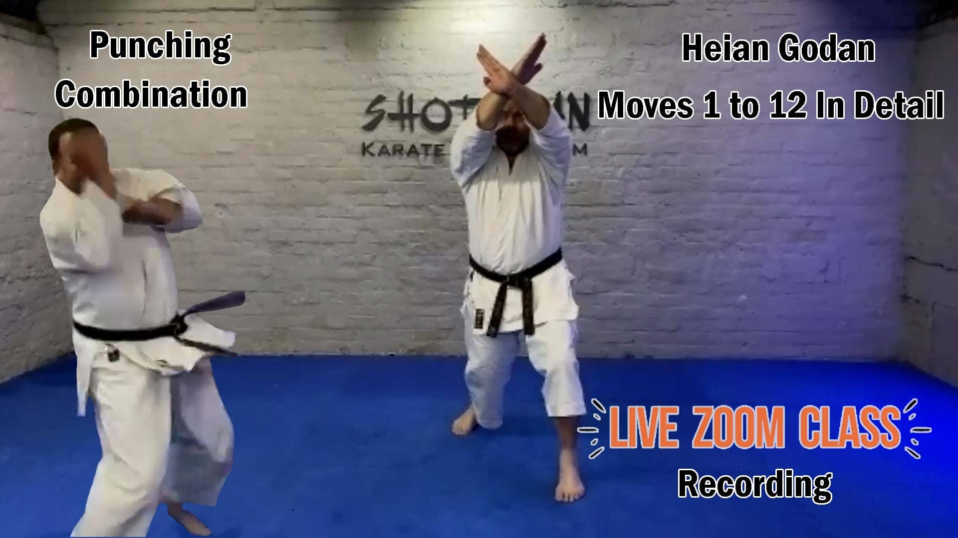Shotokan Karate Lessons Online Punching And Heian Godan