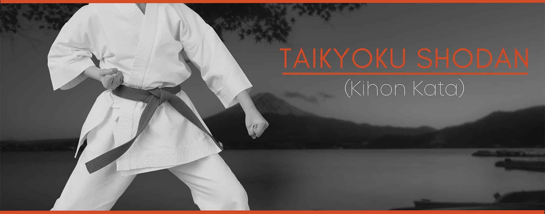 taikyoku shodan kata tutorial