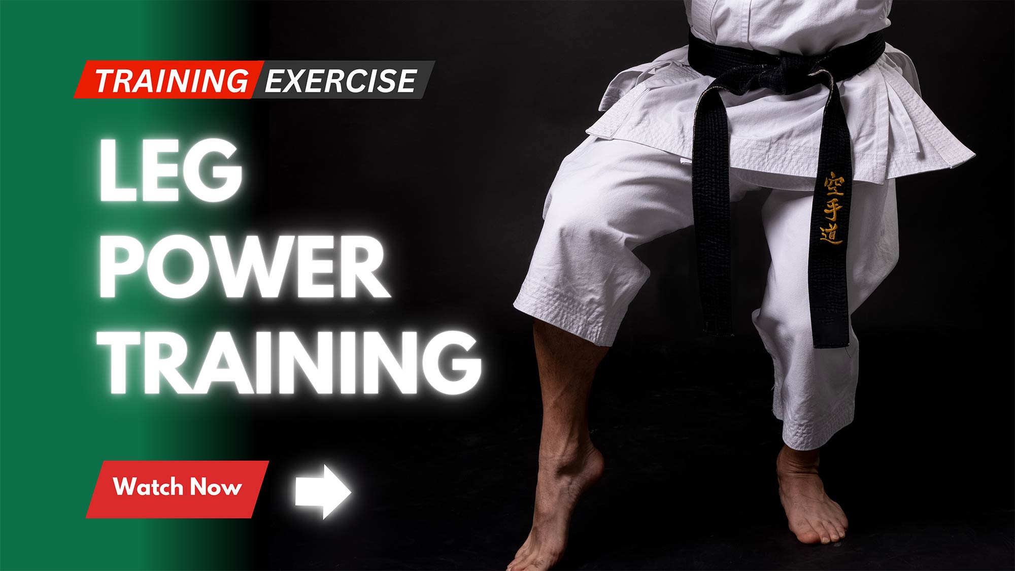 Shotokan Karate Exercise Leg Driving Punch Block Punch