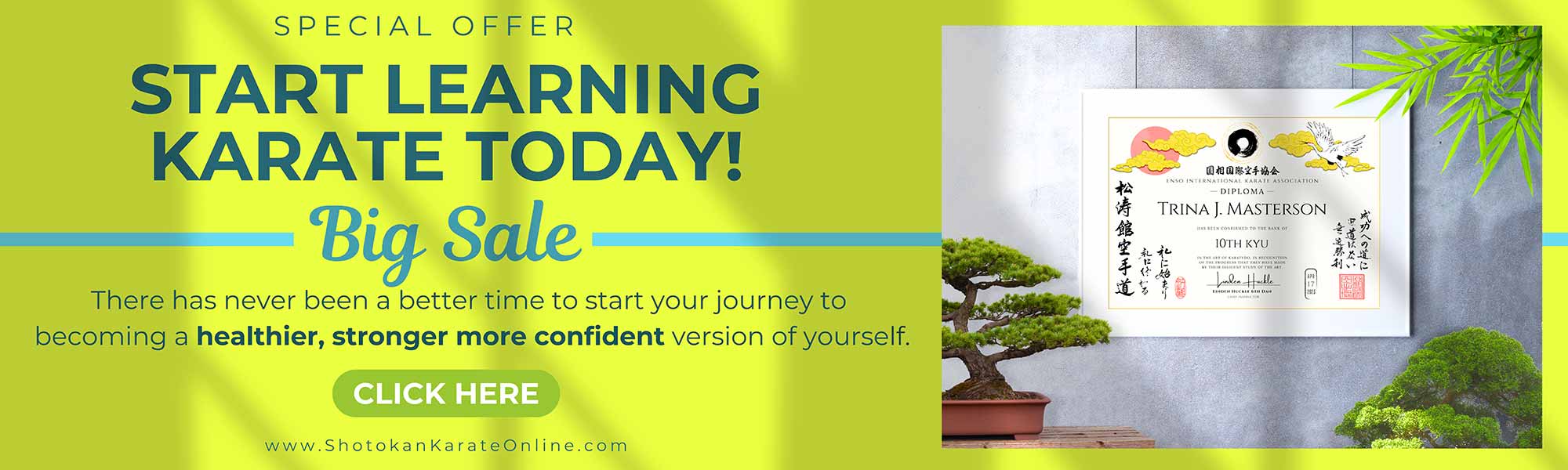 learn karate at home