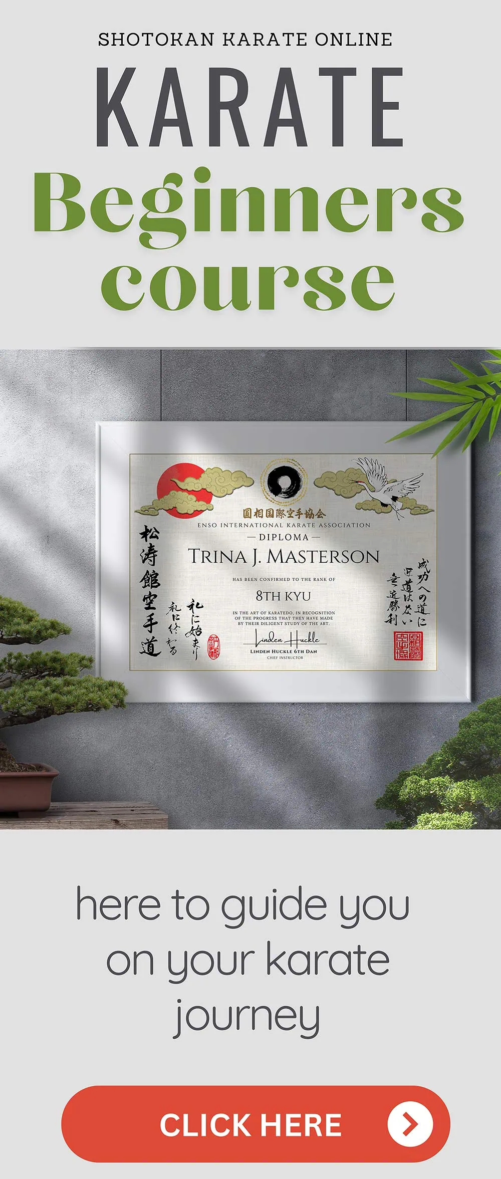 learn shotokan karate online