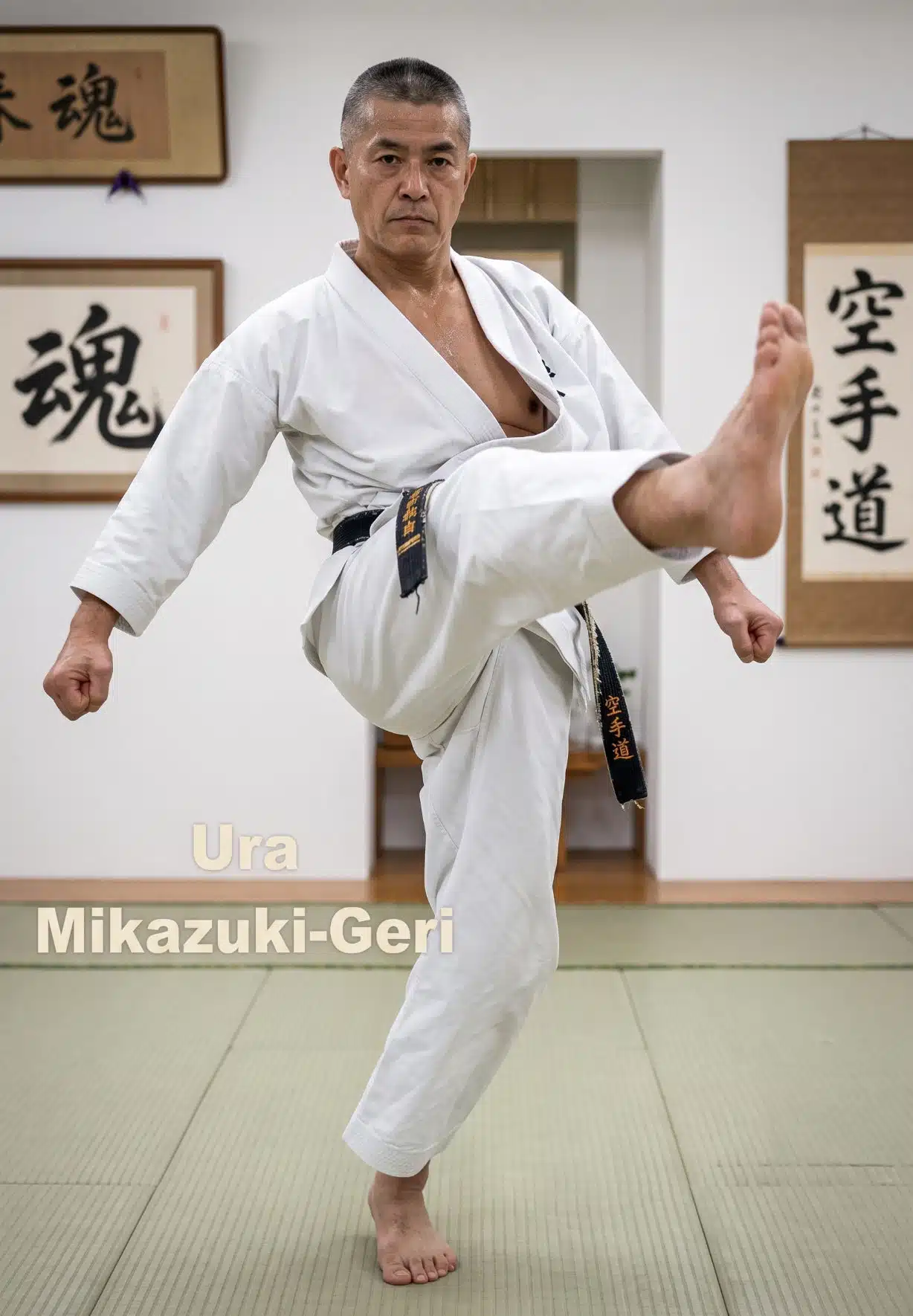 ura mikazuki geri reverse crescent kick
