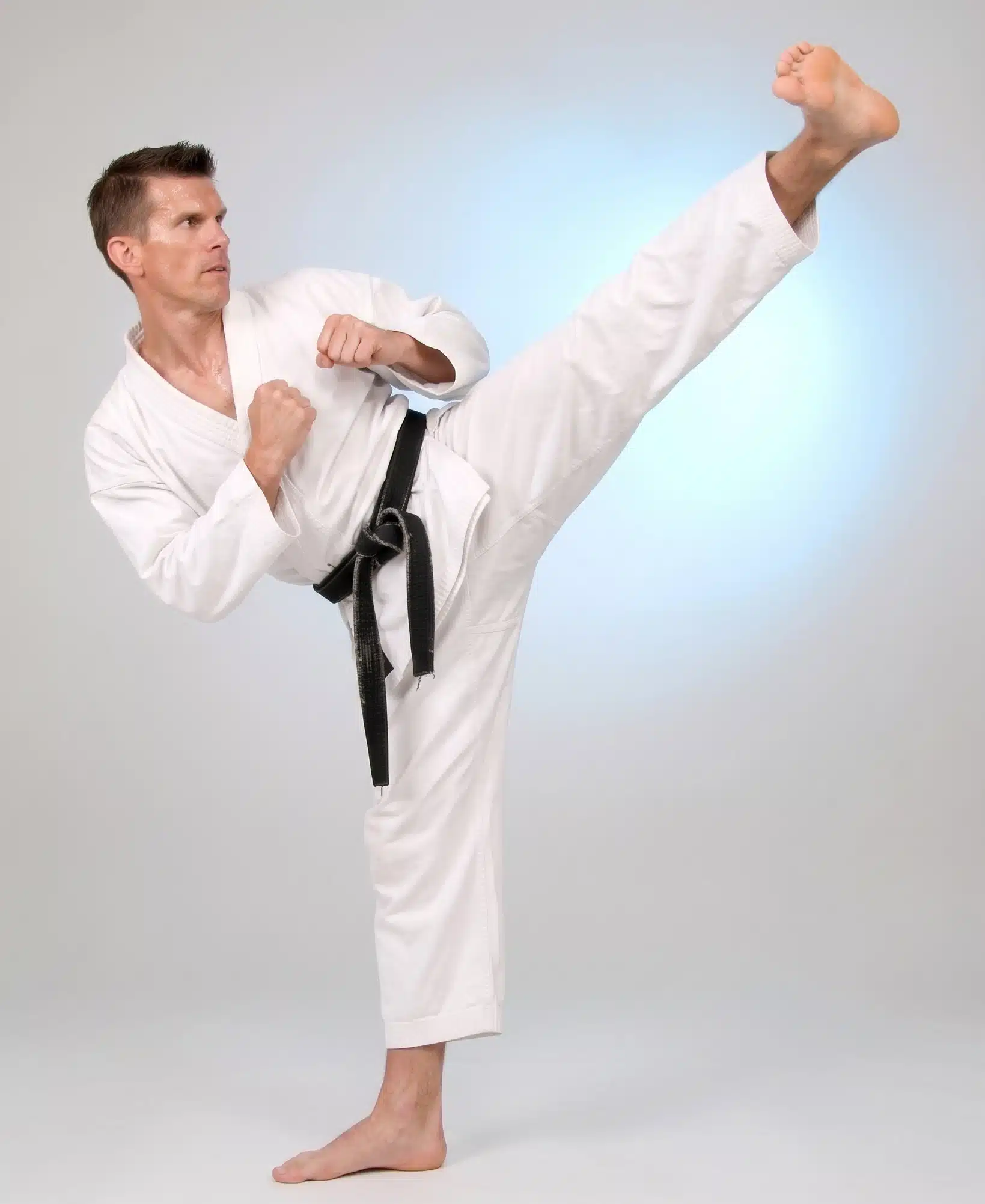 ushiro mawashi geri hook kick